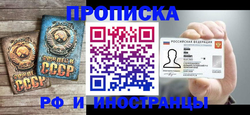 где прописаться в Димитровграде